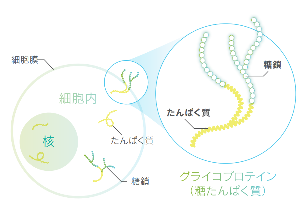 アンブロトース ライフ シリーズ